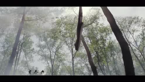 quais os numeros que mais caem na mega sena_quais são os jogos da série b hoje_quais jogo tem hj